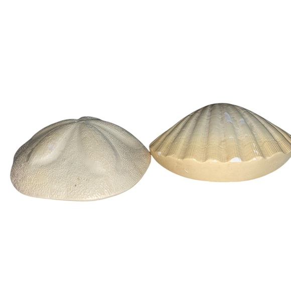 Sea Shell & Sea Biscuit Wall Decor - Picture 2 of 11